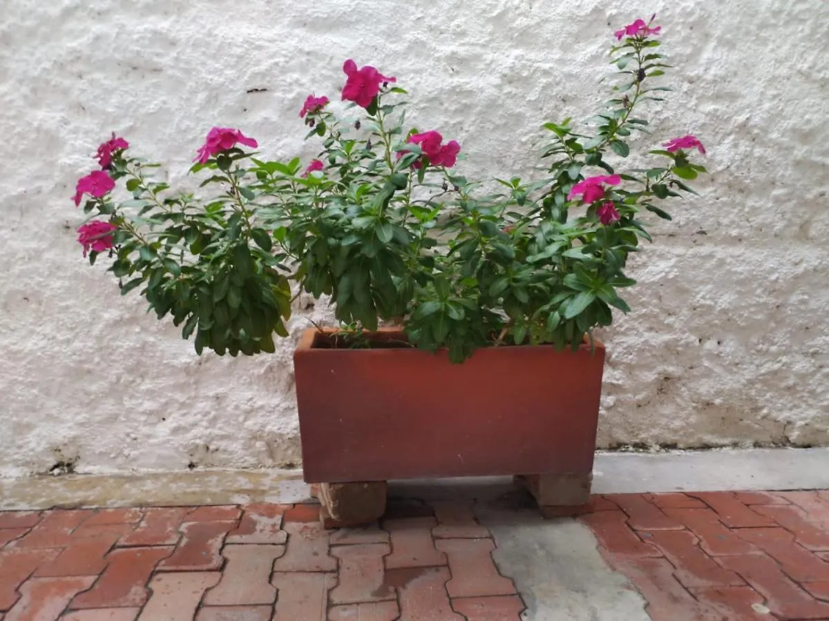 Hostel La Casa De Petra Santa Marta  Casa de hóspedes